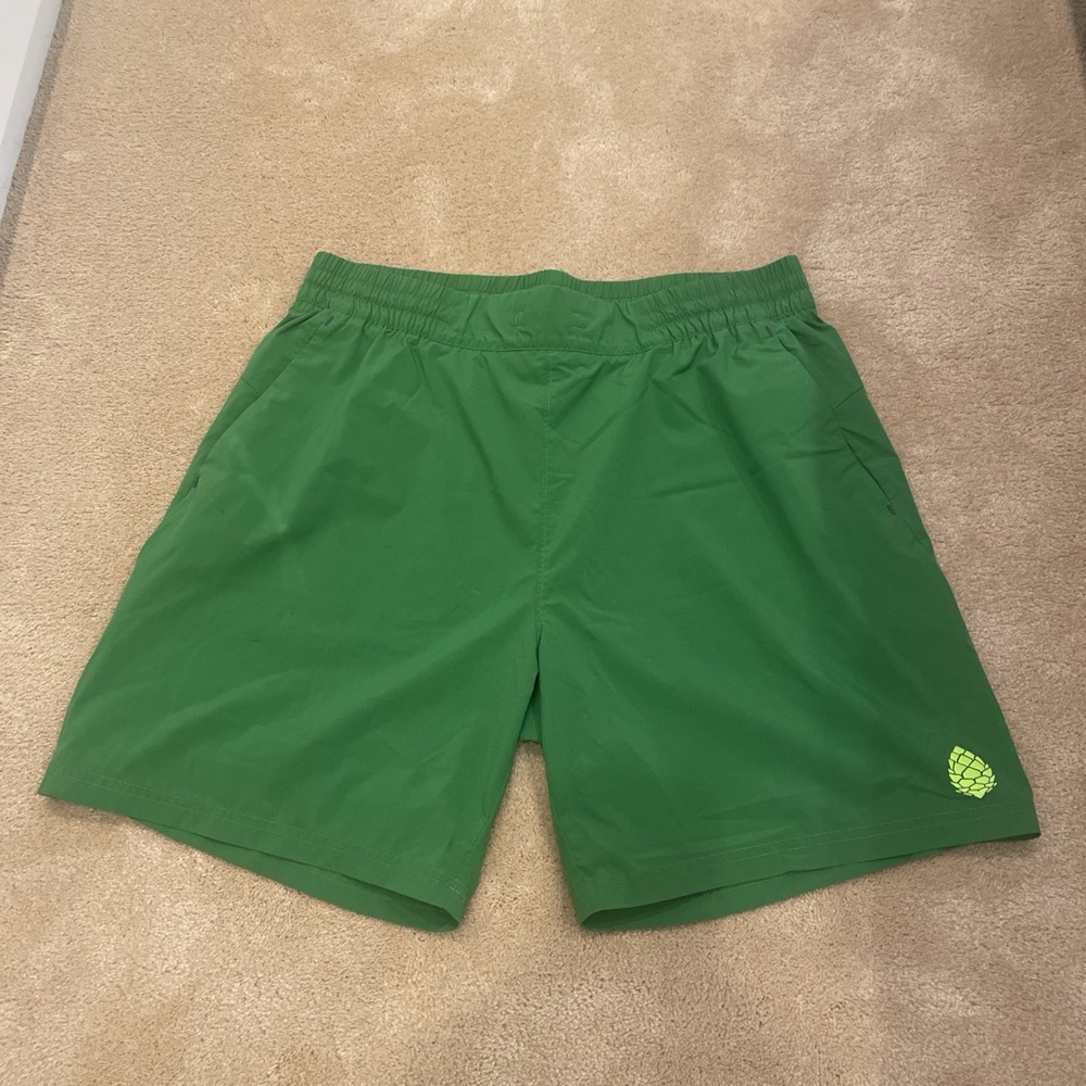 Stio Vibrant Green Performance Shorts